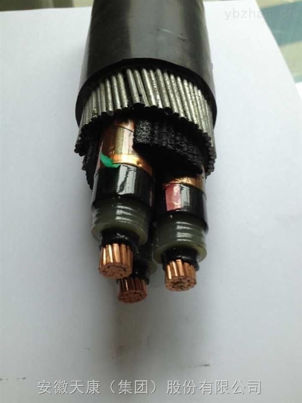 安徽天康高壓電纜：電力傳輸?shù)膭?dòng)脈，助力現(xiàn)代能源網(wǎng)絡(luò)發(fā)展